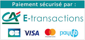 CA E-Transaction